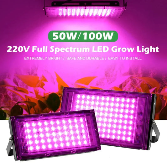 Premium Full Spectrum LED Grow Light for Indoor Plants - Hydroponic Growth Lamp
